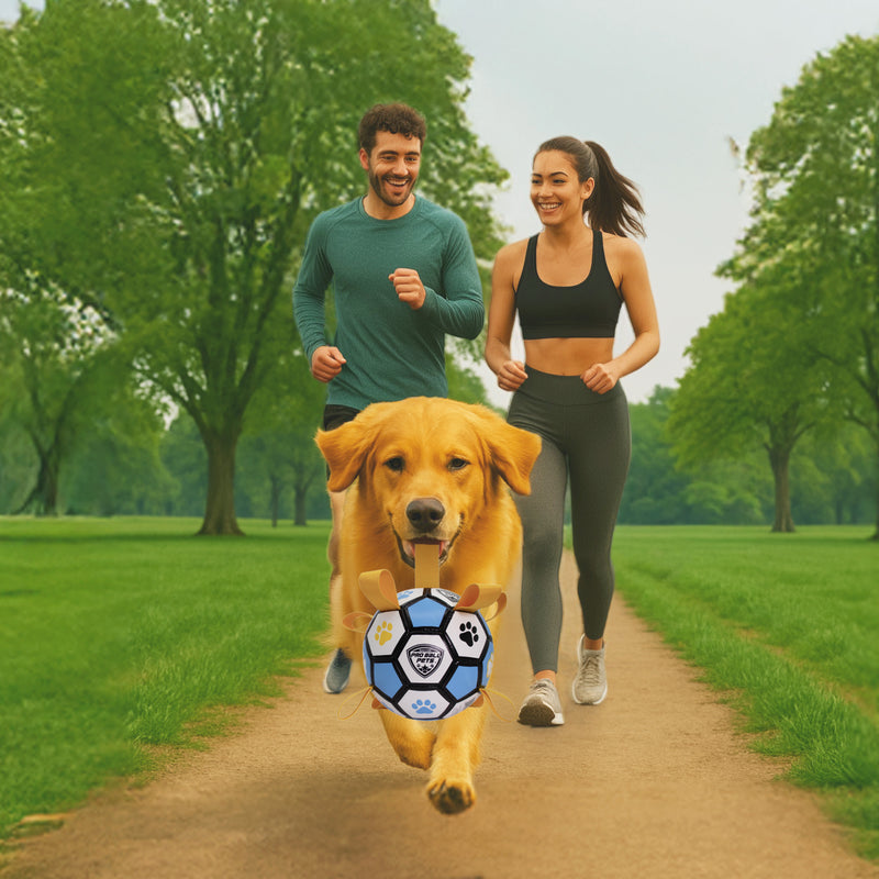 Pro Ball Pets Dog Soccer Ball with Grab Tabs, Size 2, 6 inches, Blue/Yellow - 1208