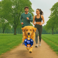 Pro Ball Pets Dog Soccer Ball with Grab Tabs, Size 2, 6 inches, Blue/Orange - 1213