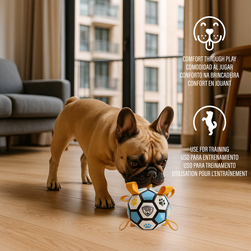 Pro Ball Pets Dog Soccer Ball with Grab Tabs, Size 2, 6 inches, Blue/Yellow - 1208