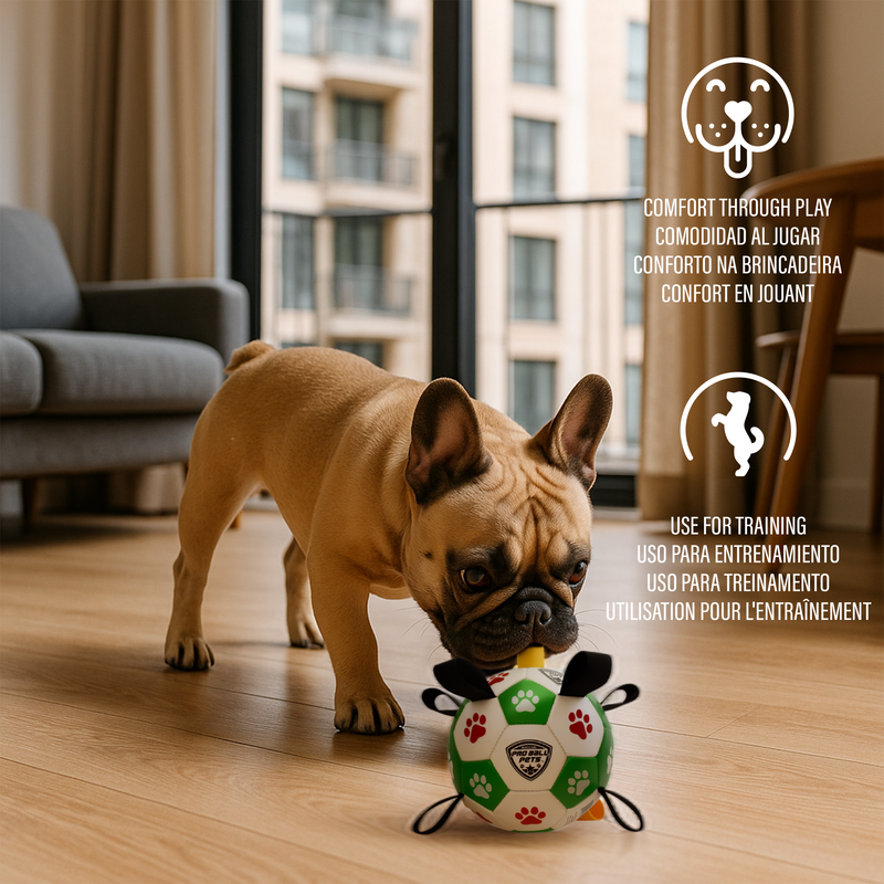 Pro Ball Pets Dog Soccer Ball with Grab Tabs, Size 2, 6 inches, Green/Red - 1209