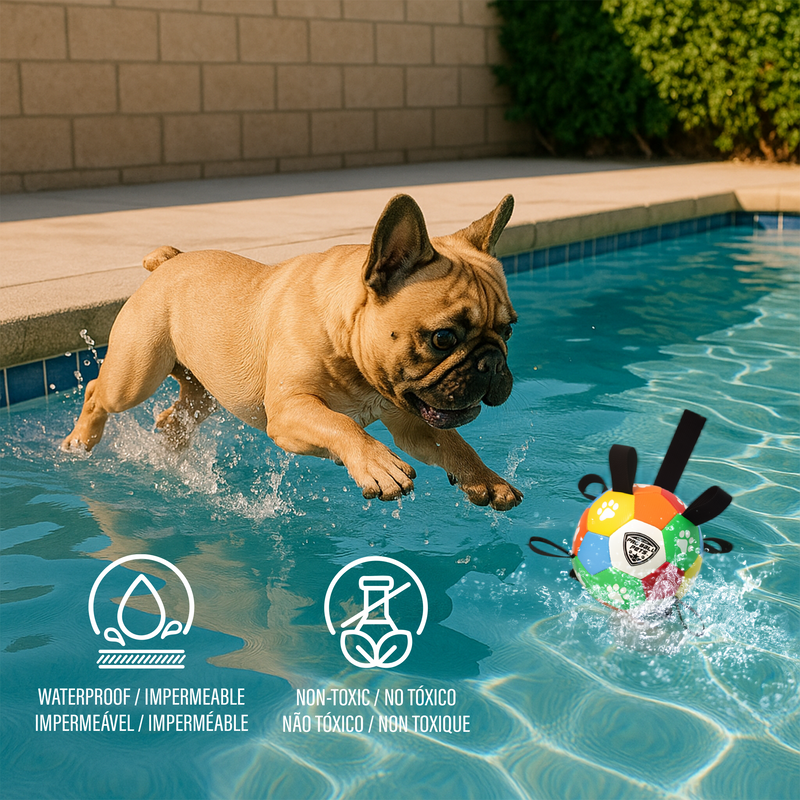 Pro Ball Pets Dog Soccer Ball with Grab Tabs, Size 2, 6 inches, Multicolor - 1212