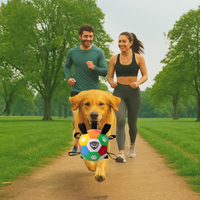 Pro Ball Pets Dog Soccer Ball with Grab Tabs, Size 2, 6 inches, Multicolor - 1212